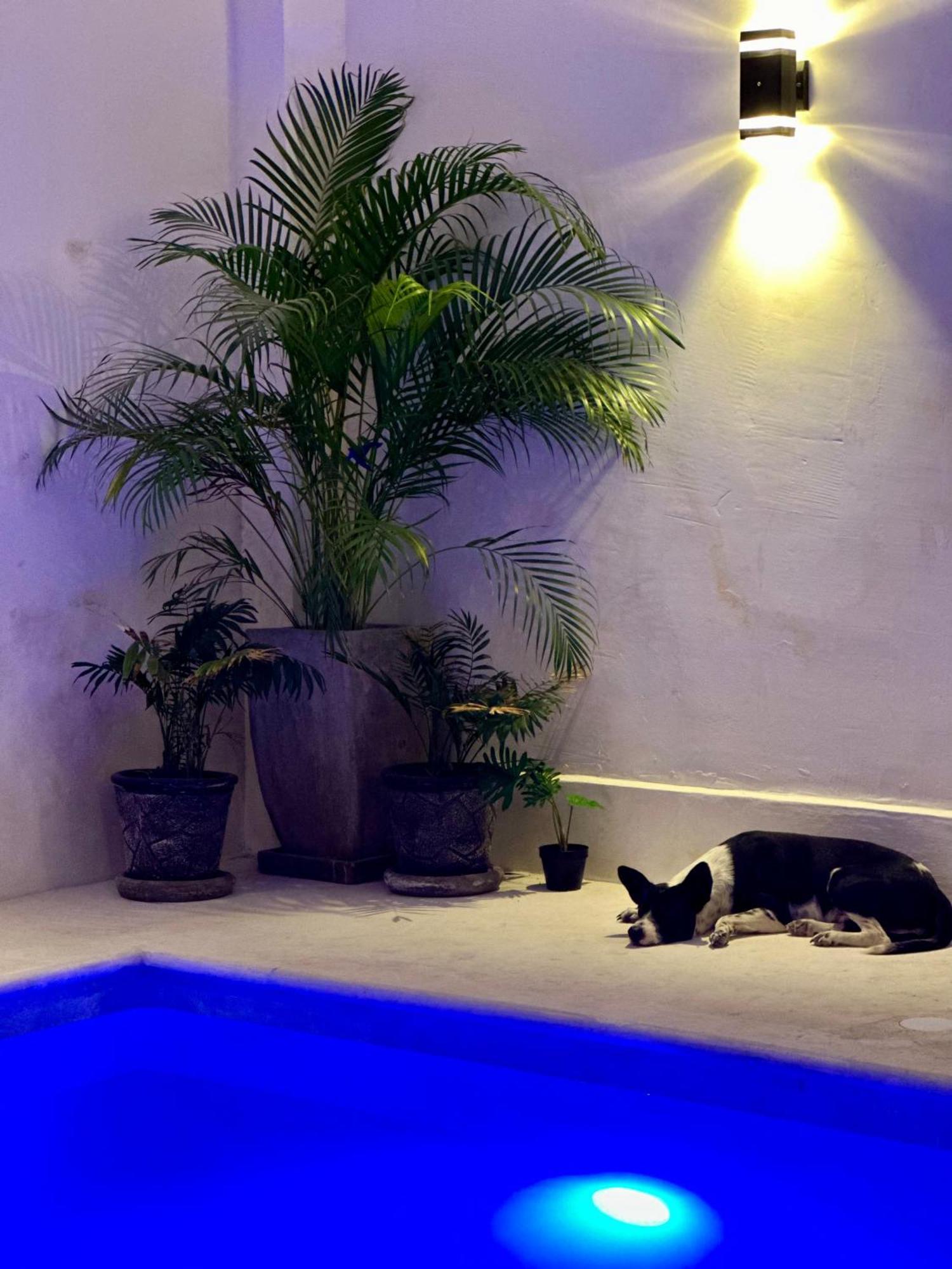 Hotel Casa Prisca Coyuca de Benitez Esterno foto